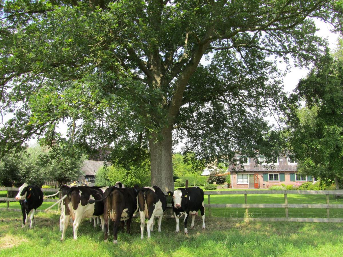 Bed & Breakfast Kortenhoefsedijk ภายนอก รูปภาพ