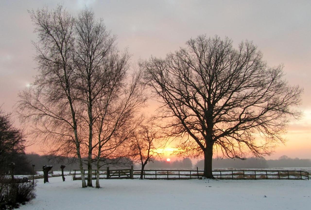 Bed & Breakfast Kortenhoefsedijk ภายนอก รูปภาพ